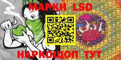стаф Кингисепп