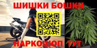 стаф Кингисепп