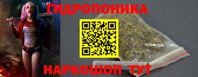 стаф Кингисепп