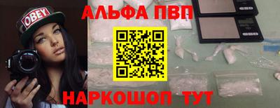 стаф Кингисепп