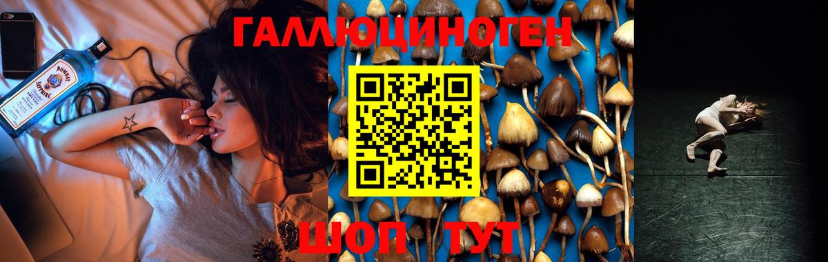 Галлюциногенные грибы мицелий  Псилоцибиновые грибы Psilocybine cubensis  Вход с VPN  Комсомольск-на-Амуре 