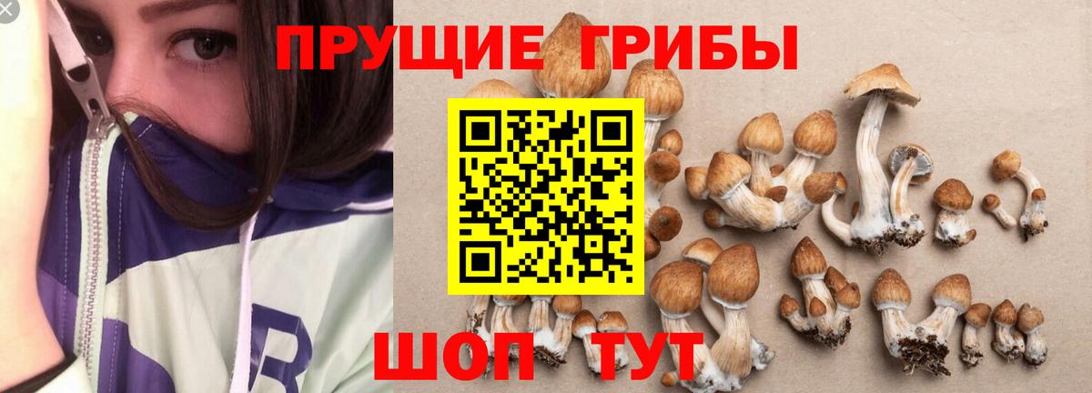 Псилоцибиновые грибы Psilocybine cubensis Комсомольск-на-Амуре